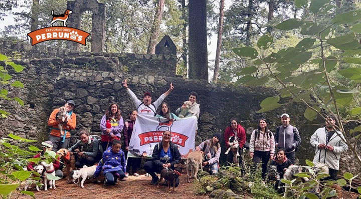 Equipo de senderistas de Exploradores Perrunos en el bosque